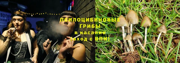 спиды Арсеньев