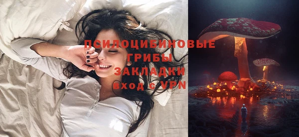 молекула духа Алзамай