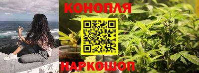 СК Рыбинск
