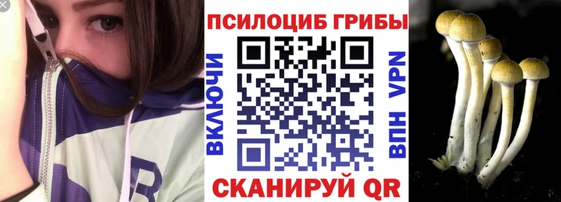 как найти закладки  Балашов  Псилоцибиновые грибы ЛСД 