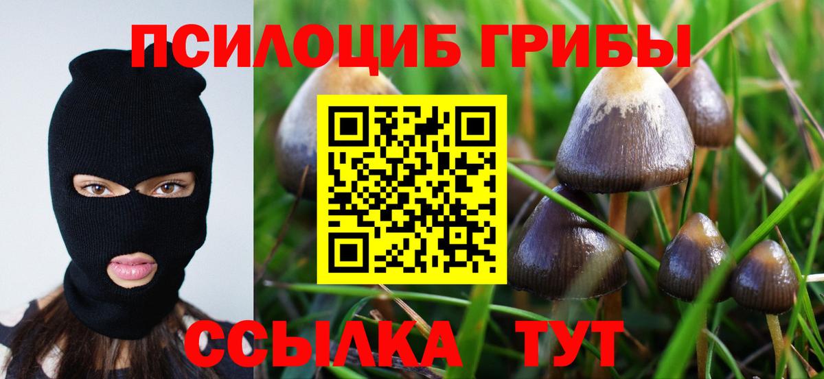 цена   Вход с VPN  Балашов  Галлюциногенные грибы прущие грибы 